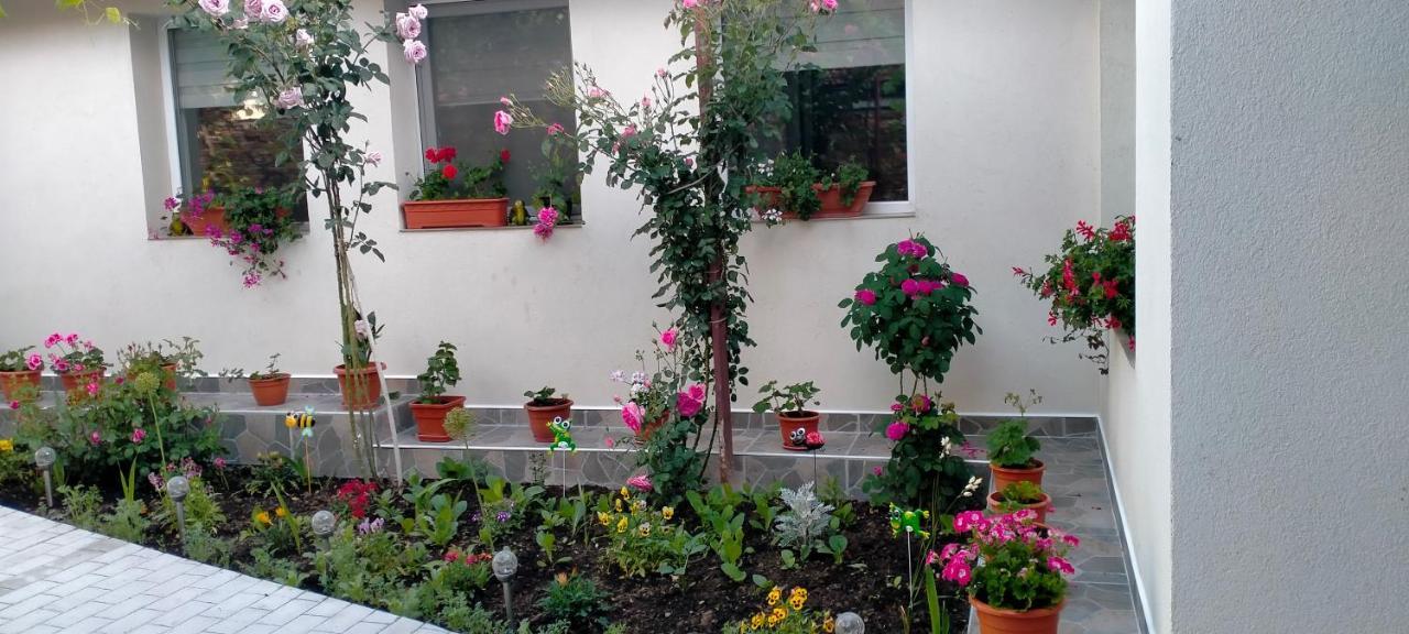 Casa Luminita Villa Ieşelniţa Bagian luar foto