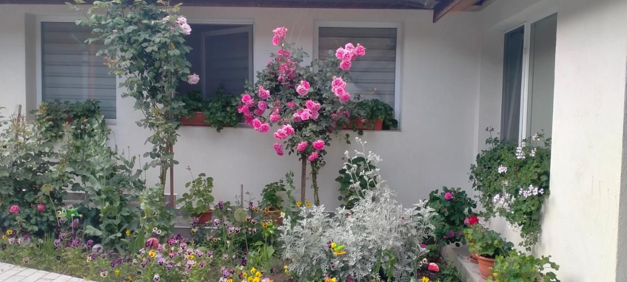 Casa Luminita Villa Ieşelniţa Bagian luar foto